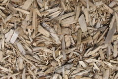 biomass boilers Tamlaght
